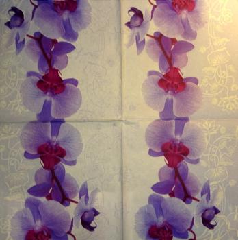056 Orchids - 3-ply (purple)